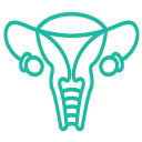 prof. dr. emin ustunyurt jinekolojik onkoloji